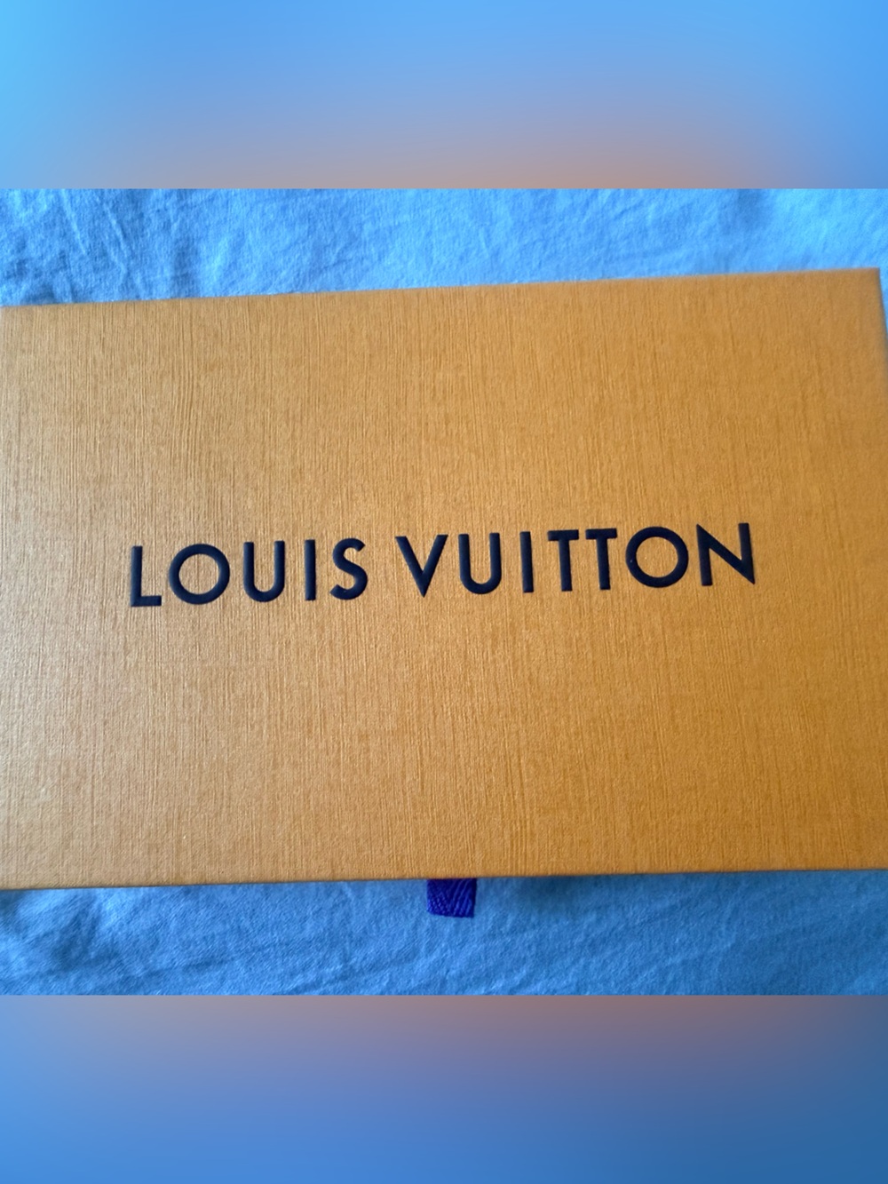 Louis Vuitton Double Pochette Crossbody Bag